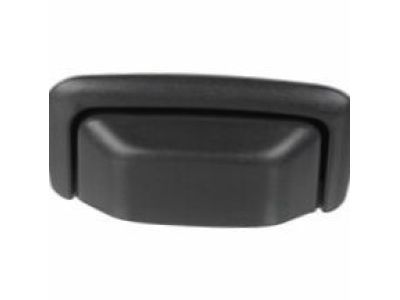 Pontiac Torrent Tailgate Handle - 5485520