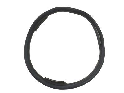 GM 22515965 Seal,Fuel Sender(O Ring)