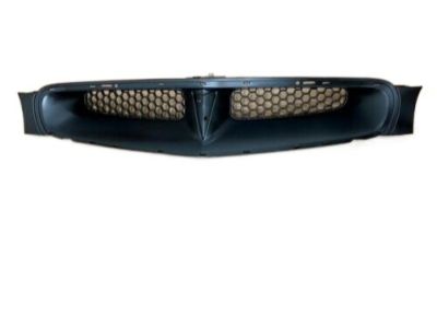 GM 19179709 Grille Asm,Radiator