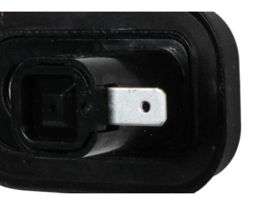 GM 30024014 Switch,Dr Jamb