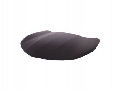 23351135 - Genuine GM Hood Assembly