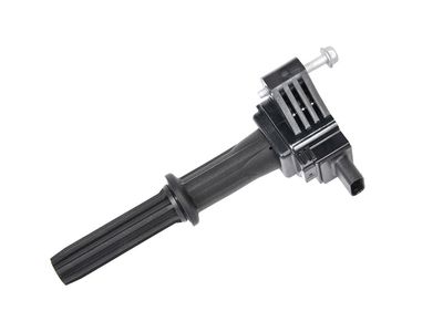 Chevrolet Spark Ignition Coil - 12673523