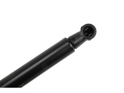 2009 Chevrolet Malibu Lift Support - 25865060