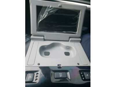 23229169 GM Display Assembly, Video *Light Ash Gear Product Photo 2 of 3