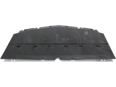 GM 23273619 Deflector, Front Bumper Fascia Center Air