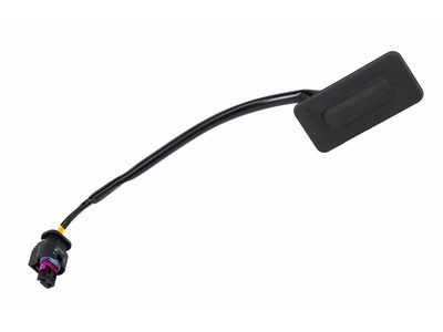 42420557 GM Switch Assembly, Lift Gate Release Product Photo 1 of 2