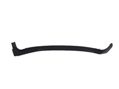 GM 20998459 Sealing Strip Assembly, Rear Side Door Lower Rear Auxiliary