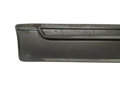 GM 15176396 Molding Assembly, Rear Side Door