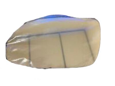 Cadillac Fleetwood Side View Mirrors - 12524669
