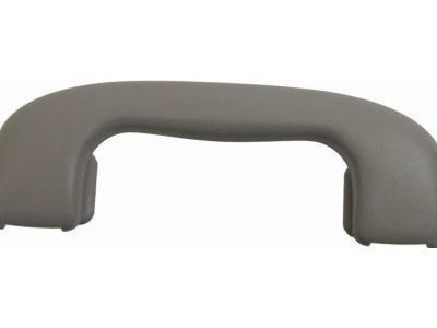 GM 15924263 Handle Asm,Roof Rail Asst *Titanium