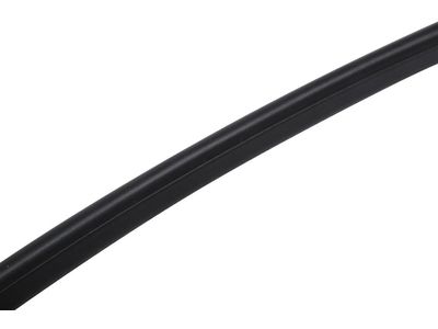 Cadillac CTS Weather Strip - 23267366
