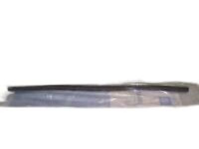 GM 15291983 Weatherstrip Assembly, Front & Rear Side Door Lower Auxiliary