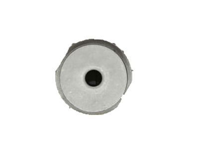 GM 20914914 Bushing, Differential Carrier