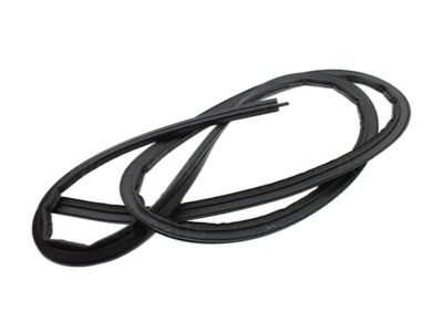 GM 15174842 Weatherstrip,Rear Door