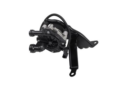GM Secondary Air Injection Pump - 12634456