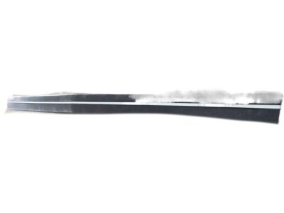 GM 14086239 Strip, Front Bumper Rubber