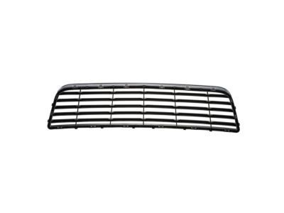 GM 10333711 Grille Assembly, Radiator Lower