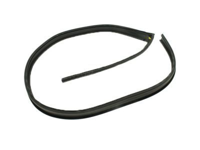 2007 GMC Sierra Door Seal - 20816087