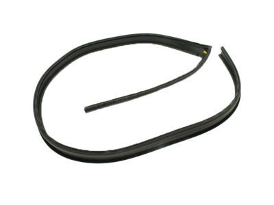 2013 GMC Sierra Weather Strip - 20816087