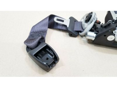 GM 19259196 Passenger Seat Belt Kit (Retractor Side) (W/ Pre, Tensioner)*Ebony