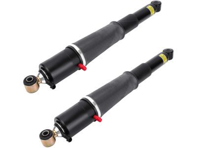 GM 19331451 Rear Shock Absorber Kit