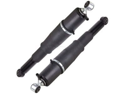 GM 19331451 Rear Shock Absorber Kit