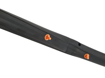 42474600 GM Rear Side Door Weatherstrip Assembly   Product Photo 1 of 4