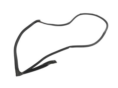 42474600 GM Rear Side Door Weatherstrip Assembly   Product Photo 4 of 4