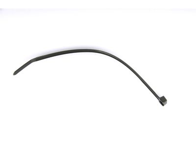 GM 9279238 Strap,Spark Plug Wire 9279238 GM Strap,Spark Plug Wire Product Photo 1 of 1