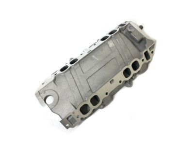 GM 12553837 Manifold Assembly, Lower Intake