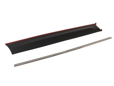Buick Park Avenue Door Moldings - 12374668