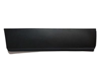 2022 Chevrolet Trax Door Moldings - 95161598