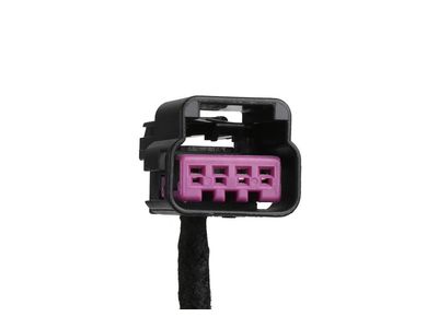 22789019 GM Harness Pkg, Side Door Wiring Product Photo 3 of 5
