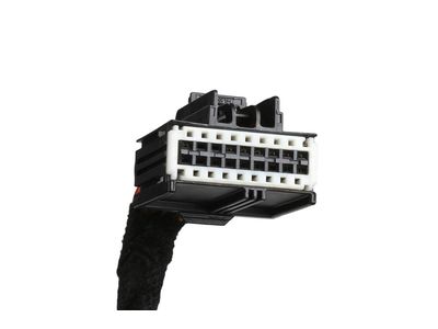 22789019 GM Harness Pkg, Side Door Wiring Product Photo 4 of 5