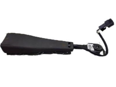 2011 Chevrolet Volt Seat Belt - 19257494