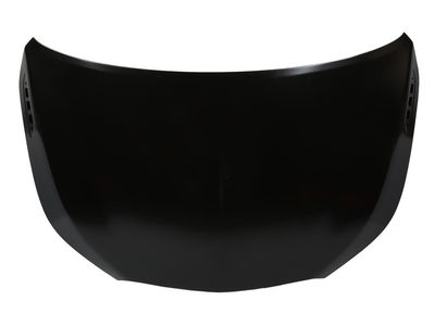 GM 9056534 Hood Assembly 9056534 GM Hood Assembly Product Photo 1 of 2
