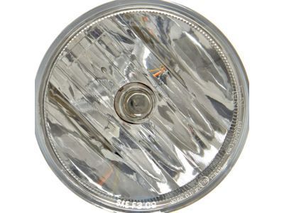 GMC Canyon Fog Light - 15839896