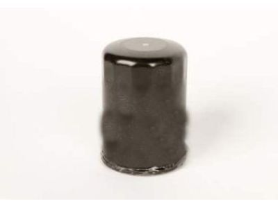88969580 GM Oil Filter Product Photo 1 of 2