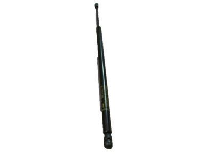15855373 - Genuine GM Strut, Hood 0000000