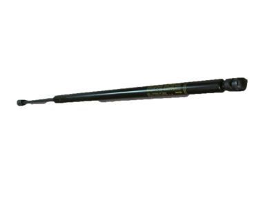 15855373 GM Strut, Hood 0000000 Product Photo 2 of 3