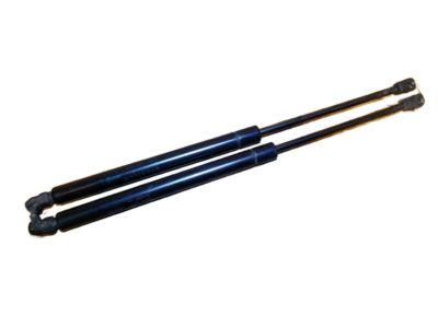 25736515 GM Lift Gate Strut Product Photo 2 of 4