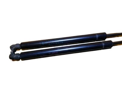 25736515 GM Lift Gate Strut Product Photo 3 of 4