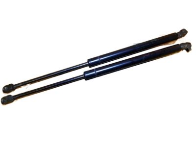 25736515 GM Lift Gate Strut Product Photo 1 of 4