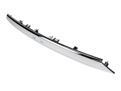 GM 84382919 Applique Assembly, Rear Closure Center *Bright Chromm 84382919 GM Applique Assembly, Rear Closure Center *Bright Chromm Product Photo 1 of 2