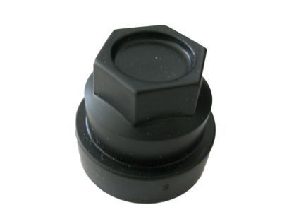 GM 10029867 Hub Wheel Cap