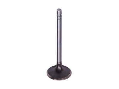 2002 Chevrolet Express Intake Valve - 14033927