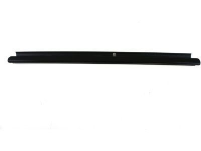 GM 15136069 Sealing Strip Assembly, Rear Side Door Window Outer