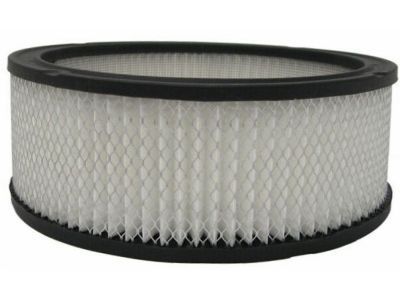 Chevrolet Blazer Air Filter - 6419892