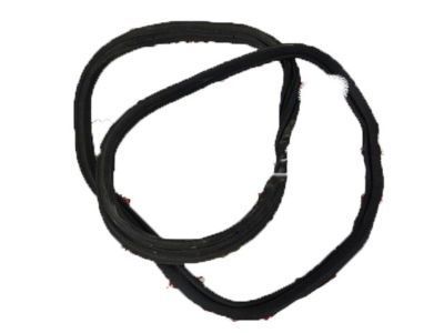 Chevrolet Camaro Weather Strip - 84160282