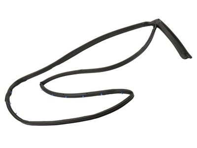 2018 Chevrolet Sonic Door Seal - 42474602